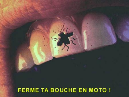 une fote